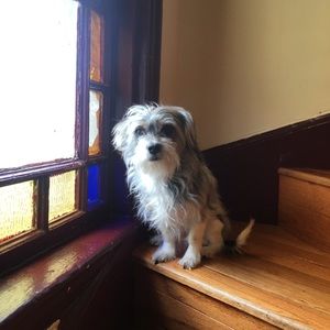 Meet your Posher, Jean